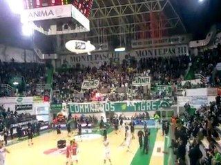 Siena Olympiakos Pregame