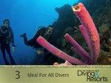 2012 World's Best Diving and Resorts Video: Ocean Encounters