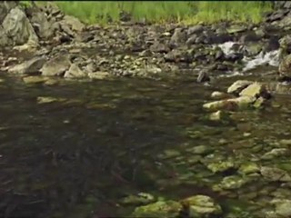 Le requin tueur des glaces