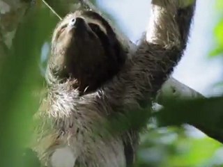 Travel Issue Sneak Peek