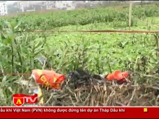 ANTÐ - Họp báo vụ lấp mộ ở Hoàng Mai