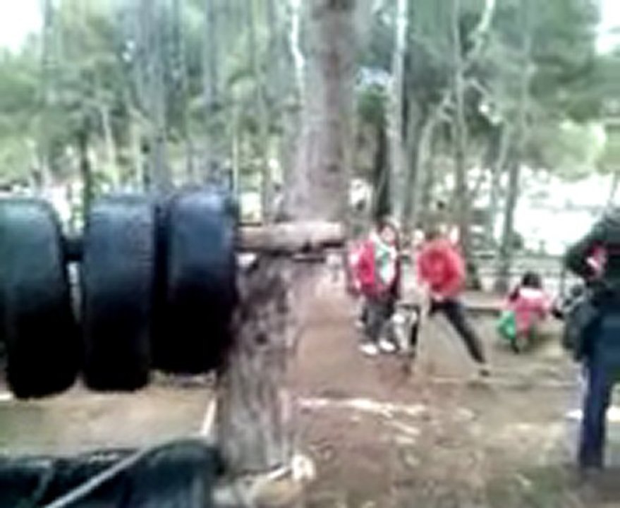 De colònies  3