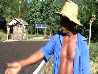 Café de Cuba El café de la Sierra Maestra