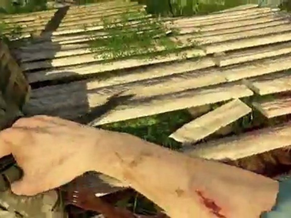 Far Cry 3 - Pre-order details