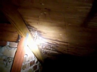 Home Leaking Inspection