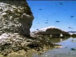 La Tierra sin humanos. Dentro de 5 millones de años