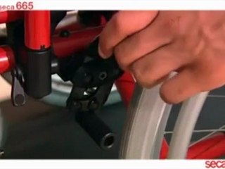 Seca 665 plate forme de pesée chez Teamalex Medical