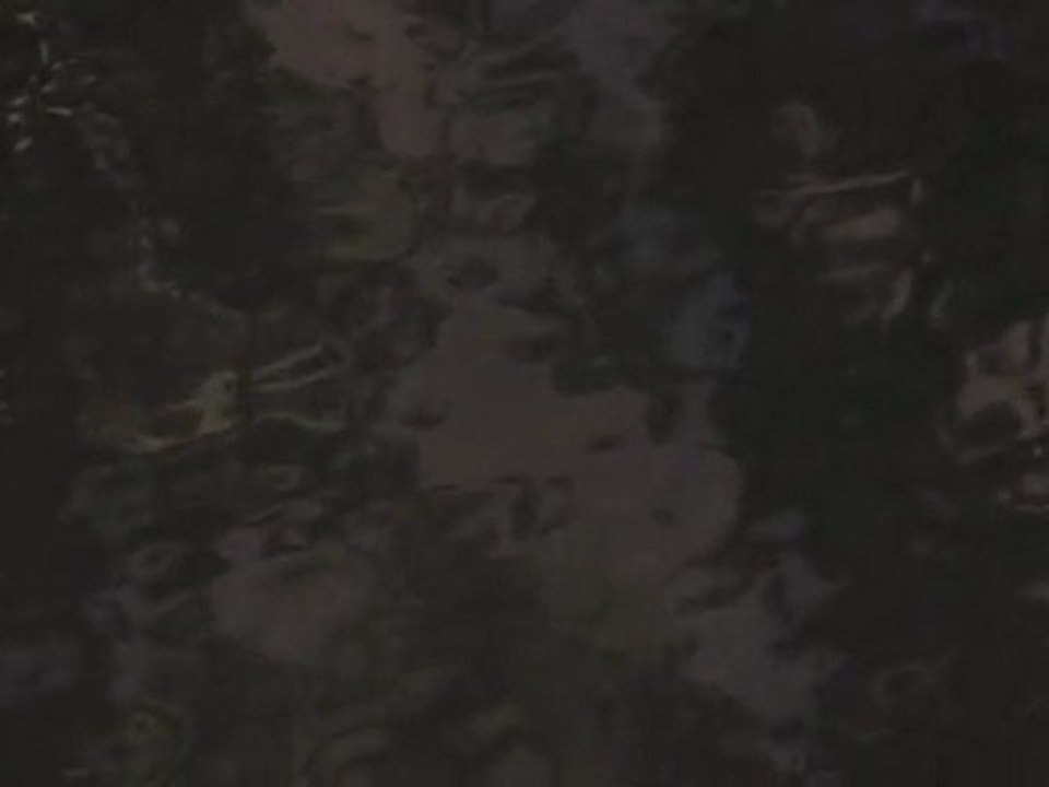 3 Beirut Animation