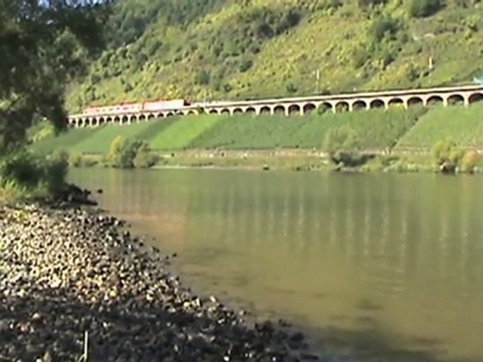 Züge auf dem hangviadukt pünderich a.d. mosel, br185, 2x sncf prima, br143, br628, br425, br426
