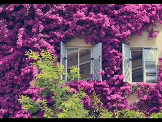 HAKAN ÖZLEV ERDİ BAHAR SARDI YİNE