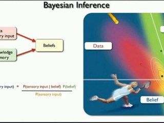 Vitamin For Brain Supplement | Daniel Wolpert-Part-3