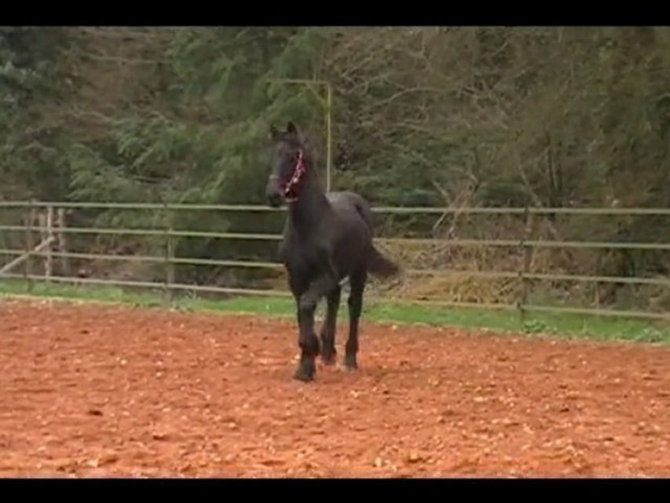 Lutz du Breuil aux Biches