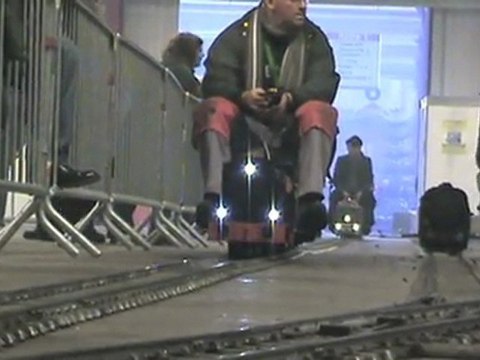 Lokparade am Ausweichbahnhof Echtdampfhallentreffen Sinsheim 10.01.09 Teil 002