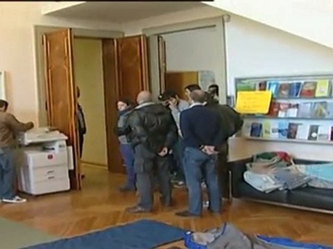 scienze politiche occupazione