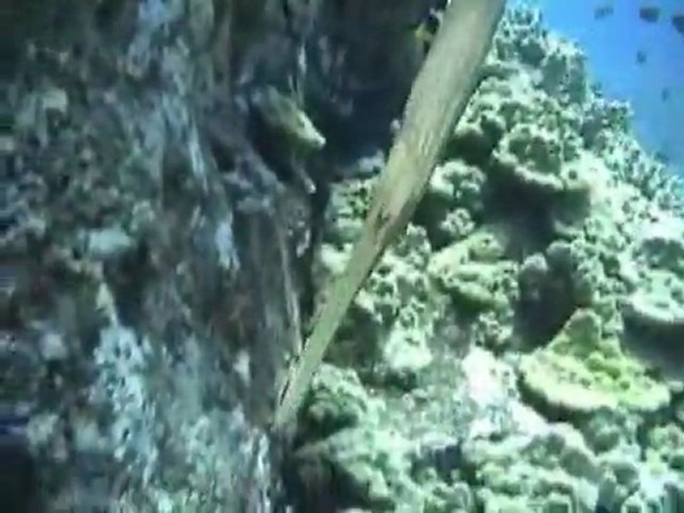 KV 06 First Place: Anastasia Laity