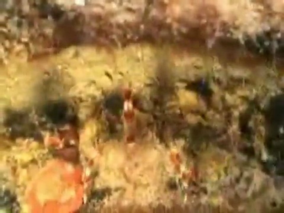 KC 06 Second Place: David Husted