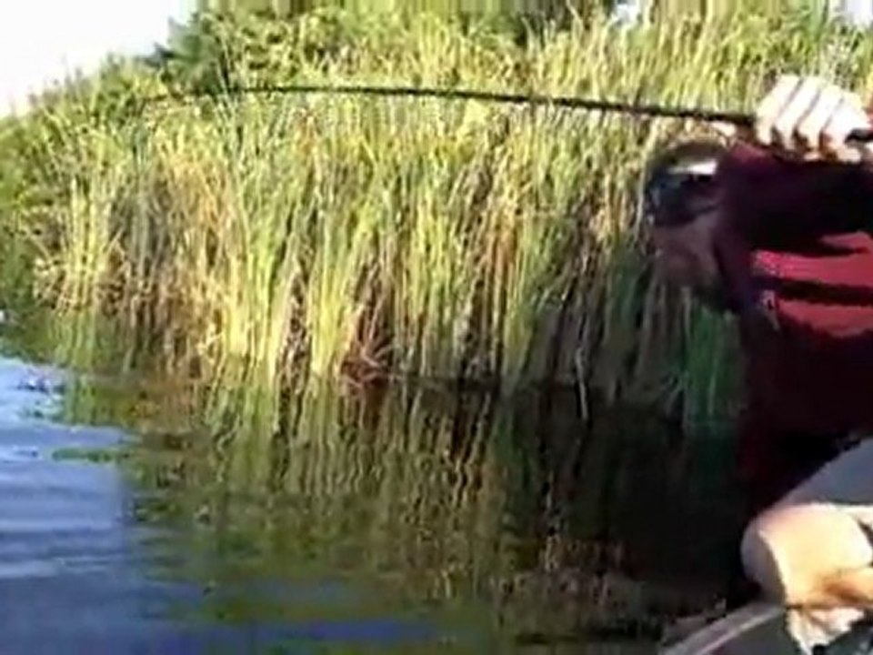 Largemouth Bass on Hogy Lures