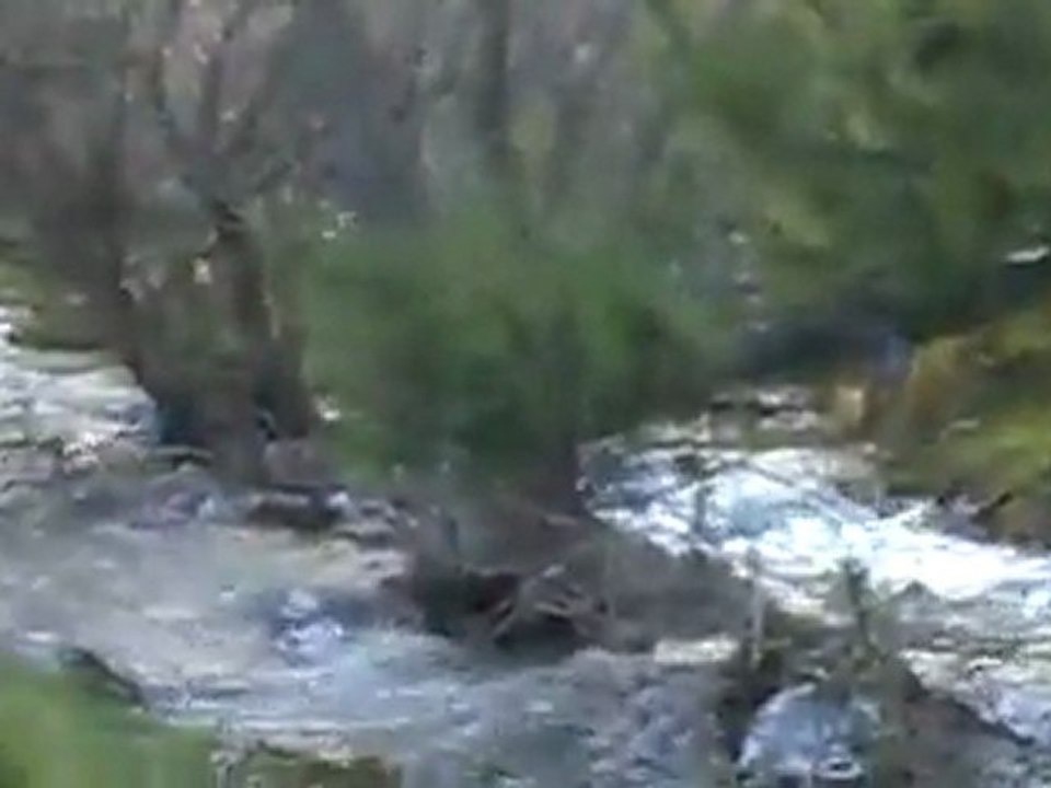 Uşak Banaz Bahadır Köyü Eğlence