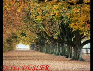 Julio Iglesias - Historia de un amor