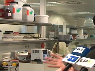 Chufas ecológicas para elaborar cremas dulces y aperitivos salados