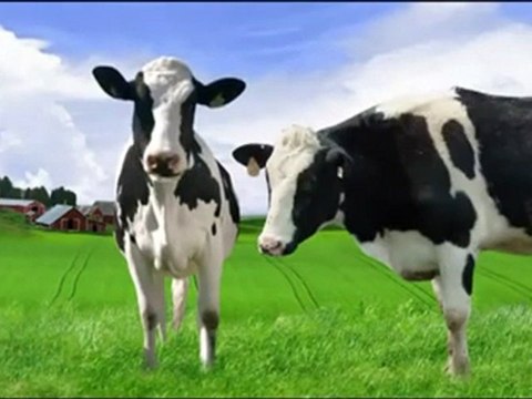 Optimum Nutrition Gold Standard 100% Whey Protein Supplement