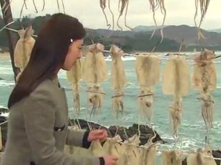 e.o.e.E55-001.yeppudaa.com.içindir.