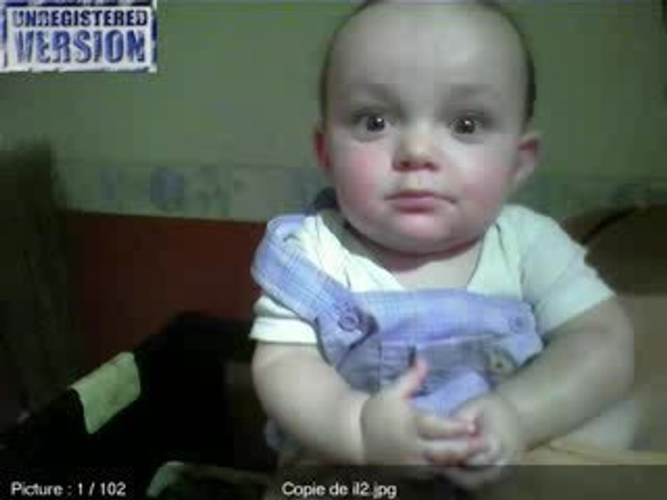 ilan