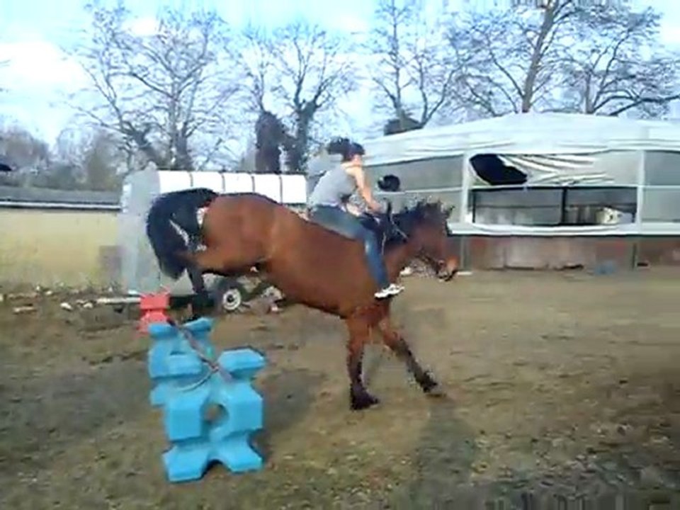 Cheval avec Charlène