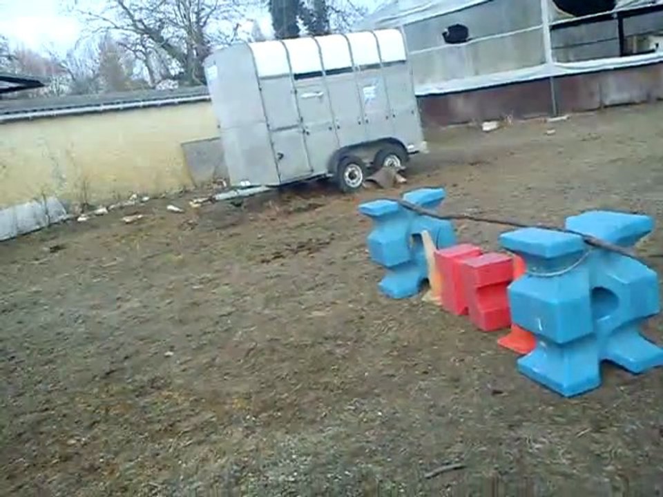 cheval avec Charlène (4)