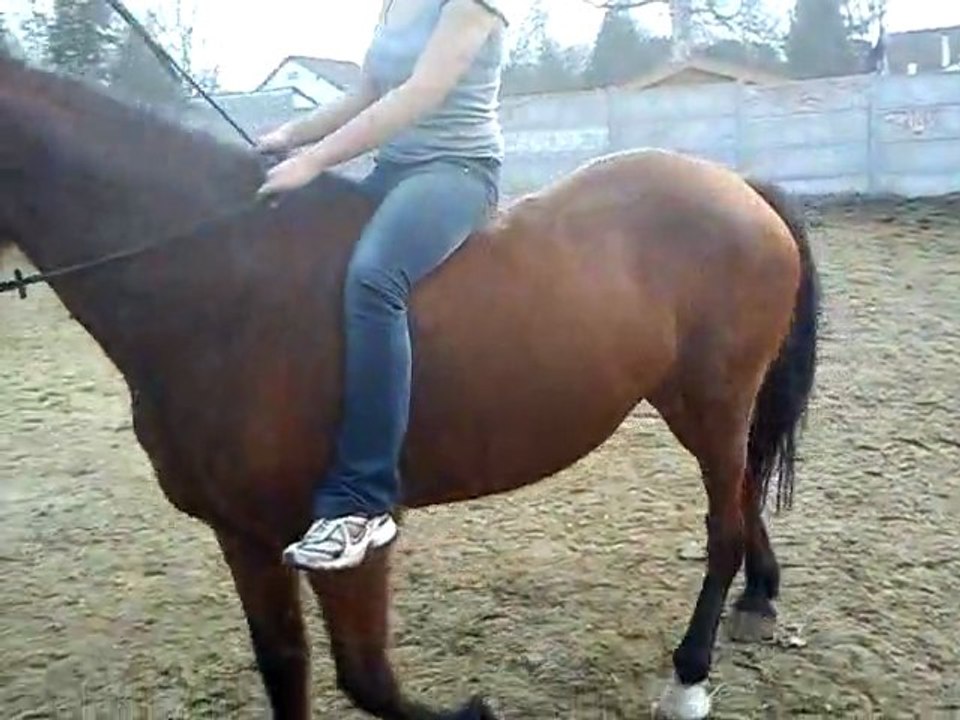 Cheval avec Charlène (5)