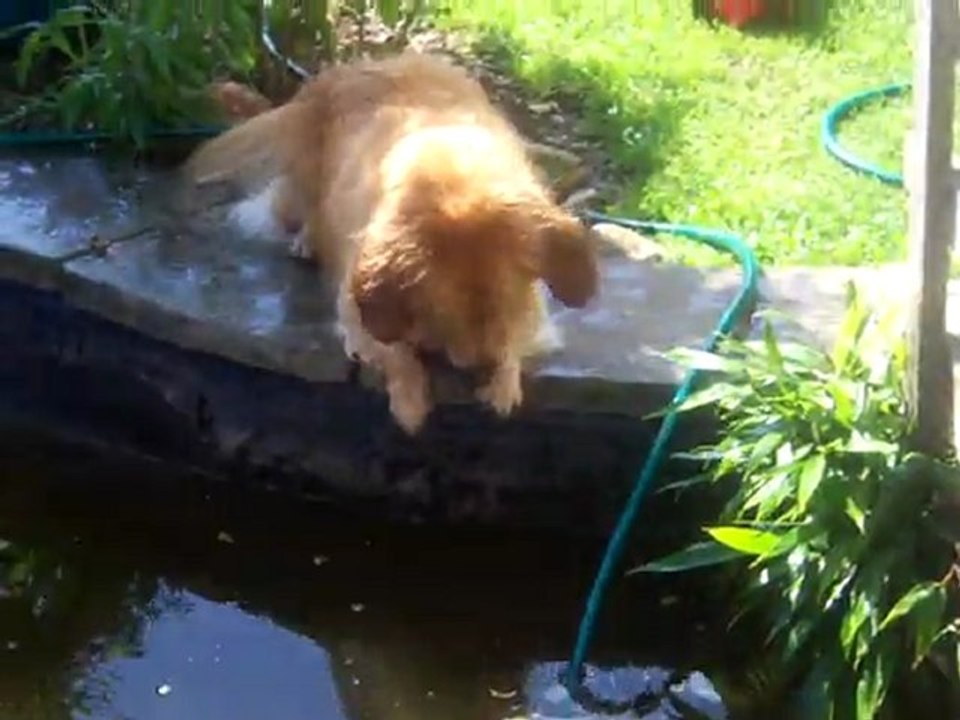 Berny und die "Wasserschlange"