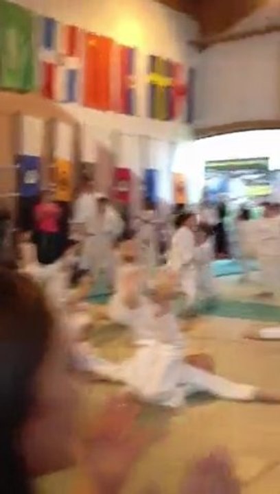 judo