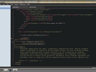 Les base de PHP - Chapitre 2 : Les bases fondamentales