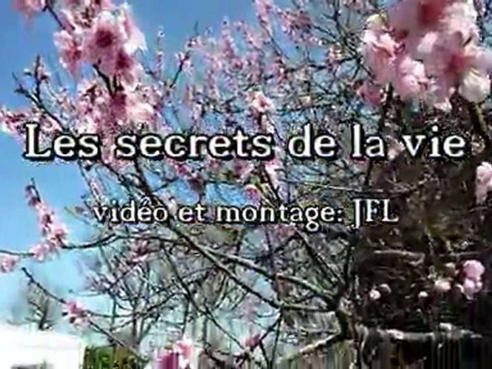 les secrets de la vie
