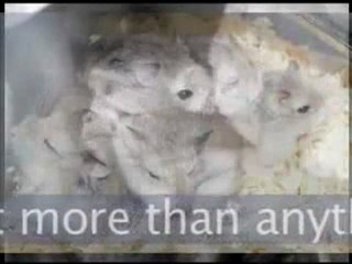 In Lies We Trust Part 3 of 3