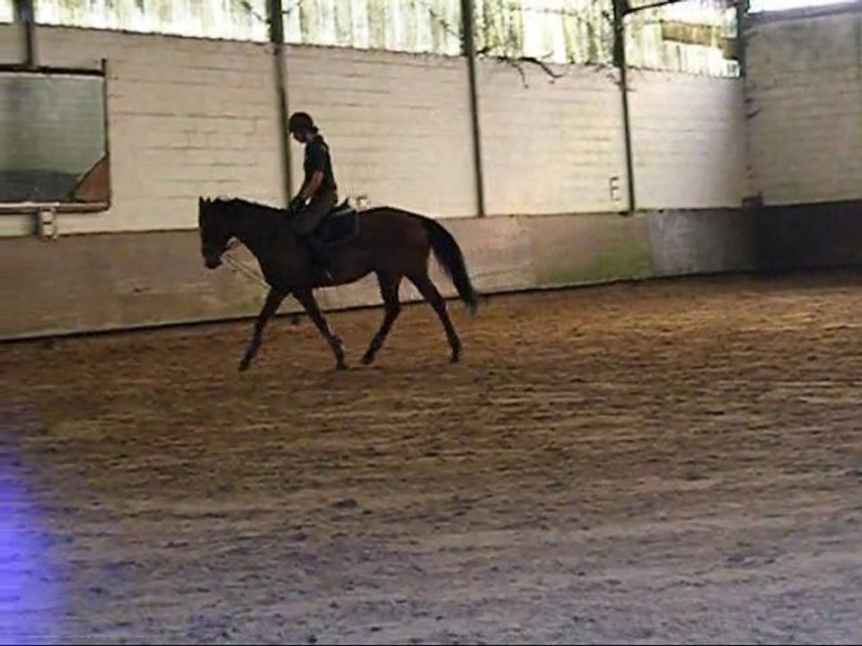 "J'suis gentil..mais pas trop non plus !" - Le Seul