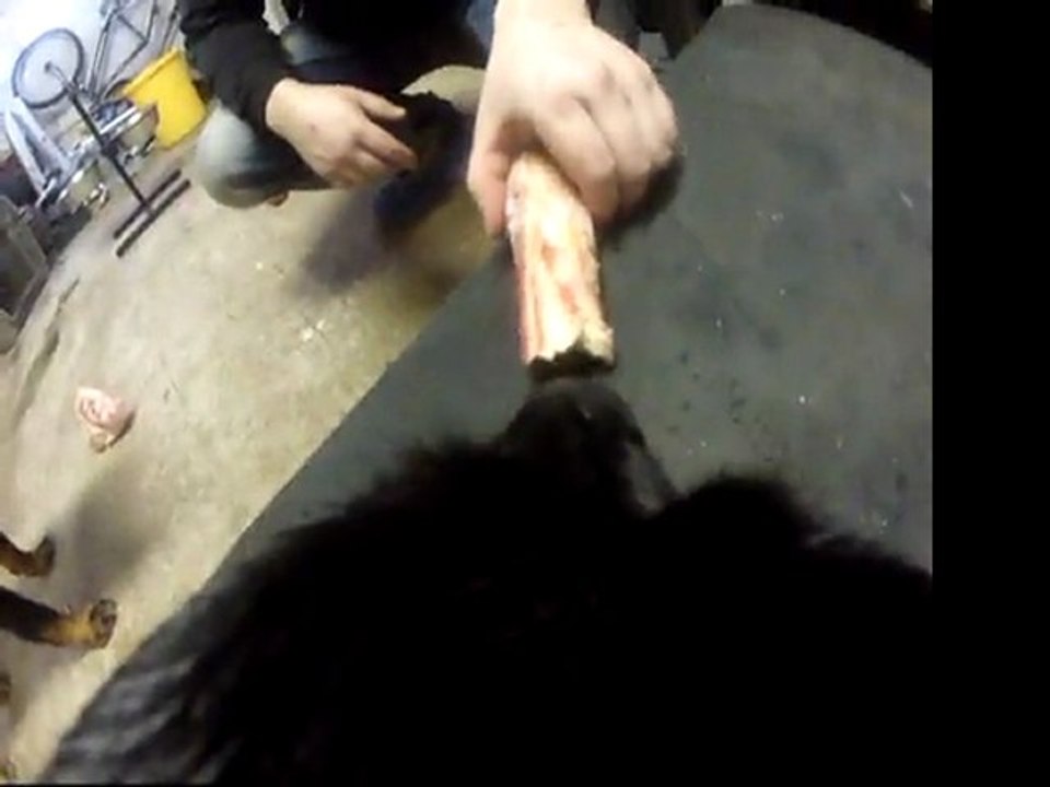 AMY GoPro 1