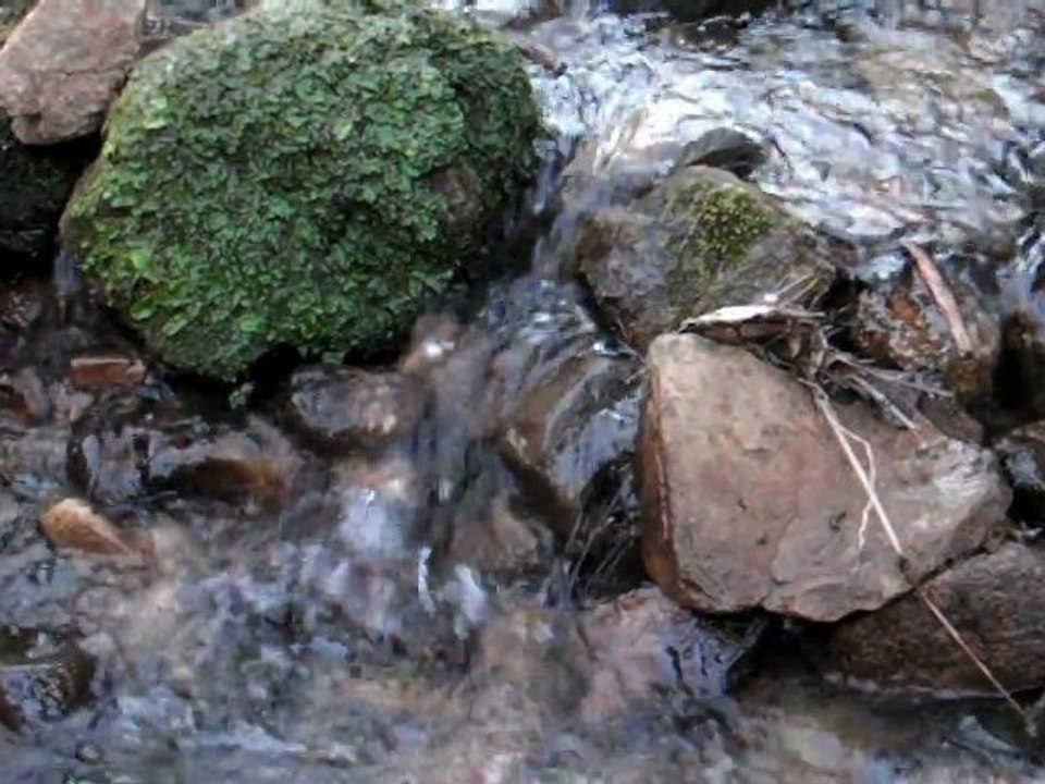 Chjami Aghjalesi : L'acqua(traduite)