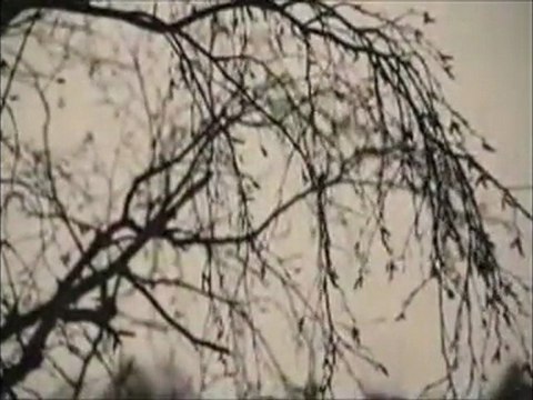 Umut Altınçağ - Düşler Vadisi