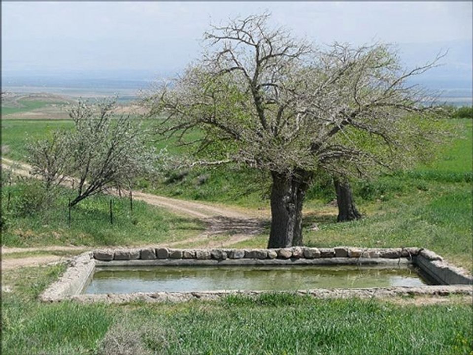 Süleyman Kırca - Kırmızı Gül Olsan Elime Almam (Arguvan)