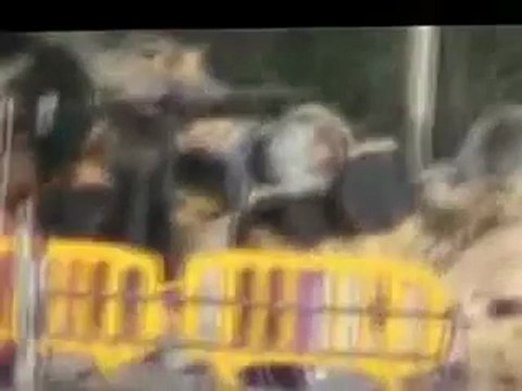 فري برس حمص الساعة القديمة اطلاق قذائف على الممنازل والمحلات الاثرية وعلى مسجد الكبير الاثري شاهد بعينك مايعاني اهالي حمص 22 3 2012