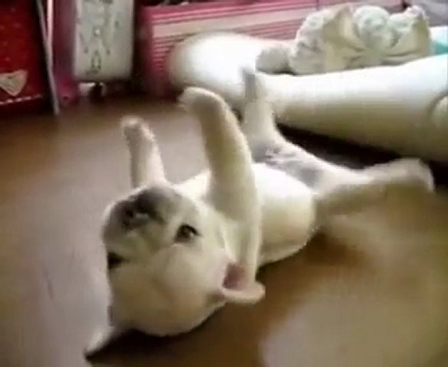 Vocaloid Okiagarenai Yo (Kid Circle Version) InuYDesi Fandub