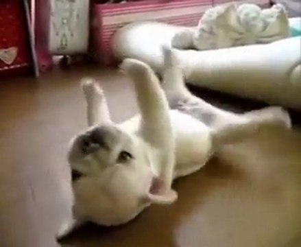 Vocaloid Okiagarenai Yo (Kid Circle Version) InuYDesi Fandub