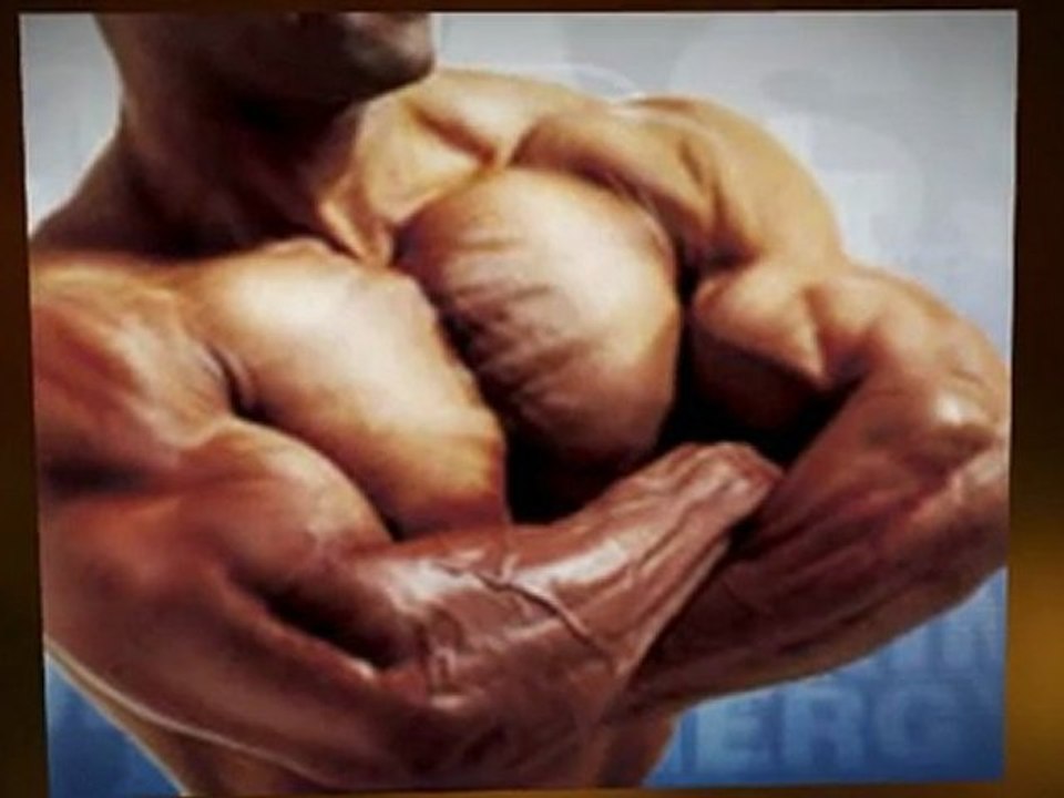 Como aumentar la masa muscular - El camino sobre como aumentar la masa muscular