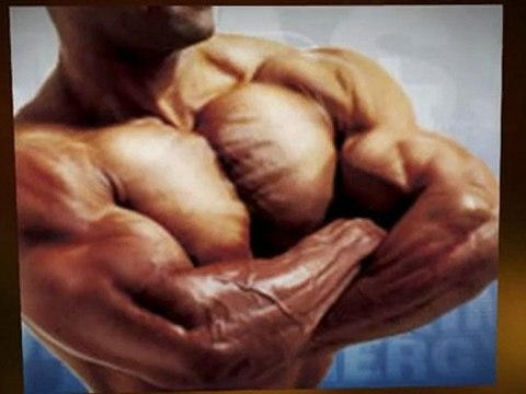 Como aumentar la masa muscular - El camino sobre como aumentar la masa muscular