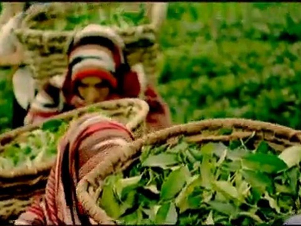 İsmail Türüt - Yar Fadimem