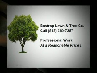 Tree Service and Lawn Service in Bastrop Texas - Bastrop Lawn & Tree Co. (512) 360-7357