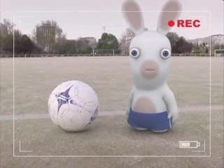 Bunnies can't play soccer