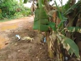 suite et fin, des travaux d'évacuation