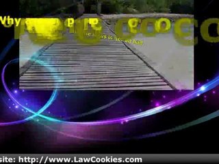 Incorporate Your Business: Why and How